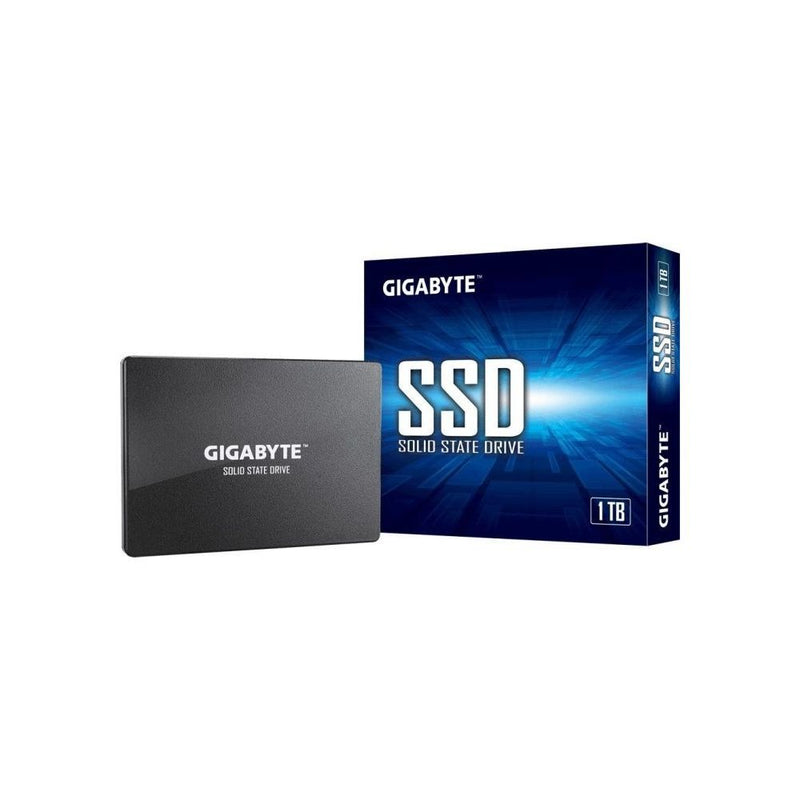 GIGABYTE SSD, 1.0TB [GP-GSTFS31100TNTD]